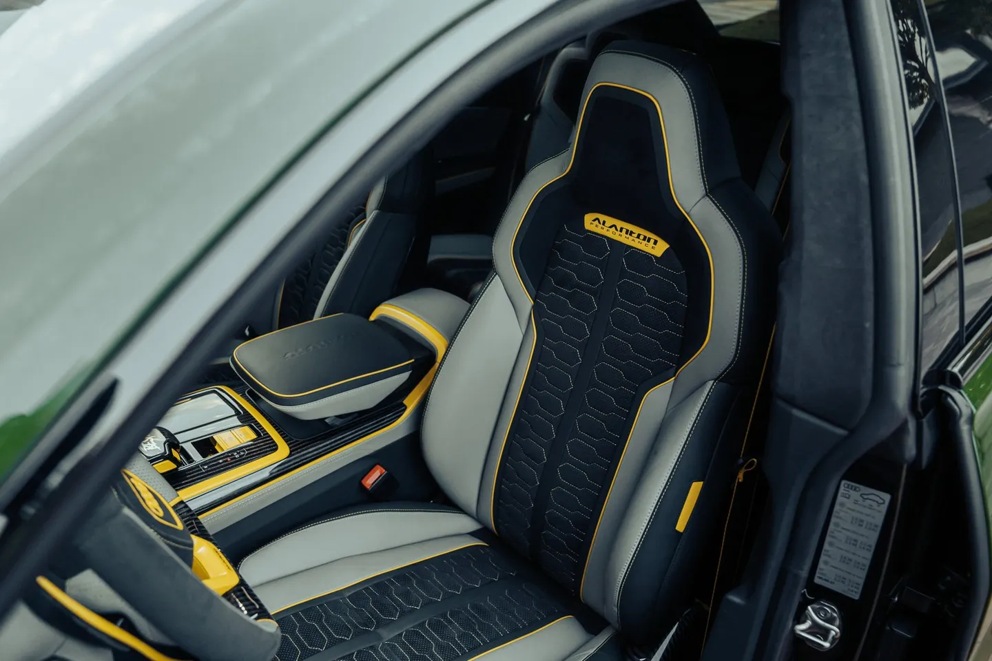 Audi RSQ8 «Bestia» / Фото 46